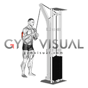V bar sales tricep pushdown