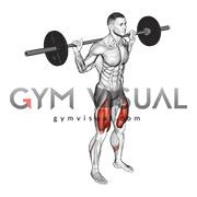 Barbell Squat 2 sec Hold