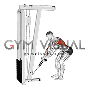 Cable Bent Over Row with Rope Attachment