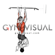 Band Resisted Chin-up