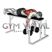Dumbbell Lying Close Grip Parallel Row on Rack