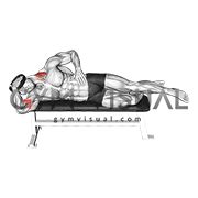 Weighted Side Lying Side Neck Raise