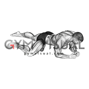Roll Ball Adductors