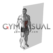 Roll Ball Rectus Abdominis