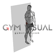 Roll Ball Forearm Extensors
