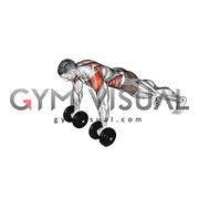 Dumbbell Front Plank Arm Raise