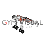 Dumbbell Front Plank Arm Leg Raise