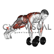 Dumbbell Renegade Row to Squat