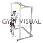 Resistance band tricep pulldown outlet