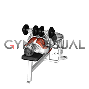 Dumbbell Reverse Grip Squeeze Bench Press