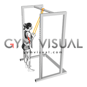 Resistance Band Triceps Pushdown (female)