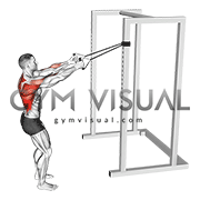 Band Narrow Grip High Row