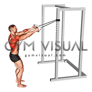 Band Narrow Grip High Row