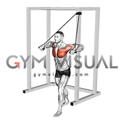 Band Low Alternate Chest Press (male)