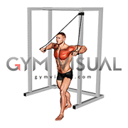 Band Low Alternate Chest Press (male)