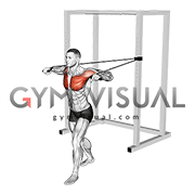 Band Standing Alternate Chest Press (male)