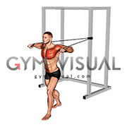 Band Standing Alternate Chest Press (male)