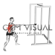 Band Standing Single Arm Twist Row