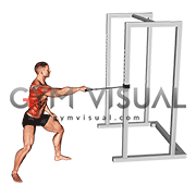 Band Standing Single Arm Twist Row