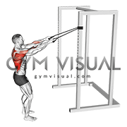 Band Narrow Grip High Row (VERSION 2)