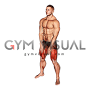 Sumo Squat Floor Touch