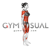 Burpee Push-up Mountain Climber Complex