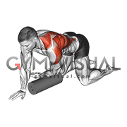 Roll Kneeling Upper Back Rotation