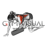 Roll Kneeling Upper Back Rotation (female)