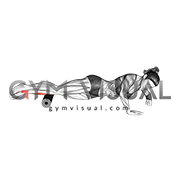 Roll Peroneal Side Lying on Floor (female)