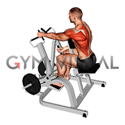 Lever Alternating Narrow Grip Seated Row (plate loaded)