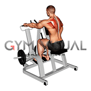 Lever Pronated Grip Seated Scapular Retraction Shrug (plate loaded)