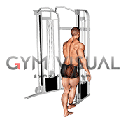 Cable Medius Kickback