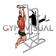 Supinated Narrow Grip Pull-up