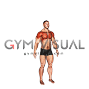 Circles Arm (male)