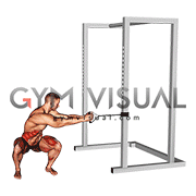 Band Squat Twist