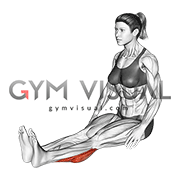 Seated Calf Stretch (female)