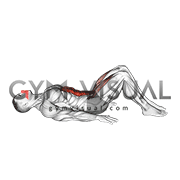 Lying Leg Raise (Modified)