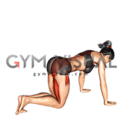 Bent Knee Back to Side Kick (female)