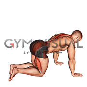 Bent Knee Back to Side Kick (male)