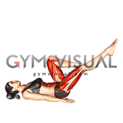 Lying Air Cycles (female)