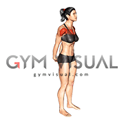 Chest Out Hands Behind (Hold) (female)