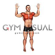 Bodyweight Standing Fly (male)