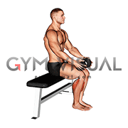 Weighted Seated Calf Raise (VERSION 2)