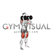 Dumbbell Squat to Overhead Press