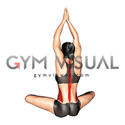 Seated Upper Body Rotation (female)