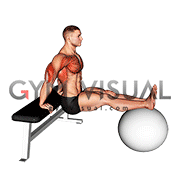 Bench Dip on Stability Ball
