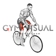 Riding Outdoor Bicycle