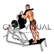 Lever Hack Squat