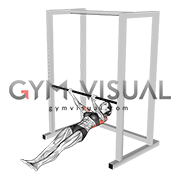 Supinated Grip Inverted Row (female)