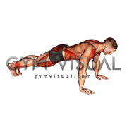 Front Plank to Toe Tap (male)
